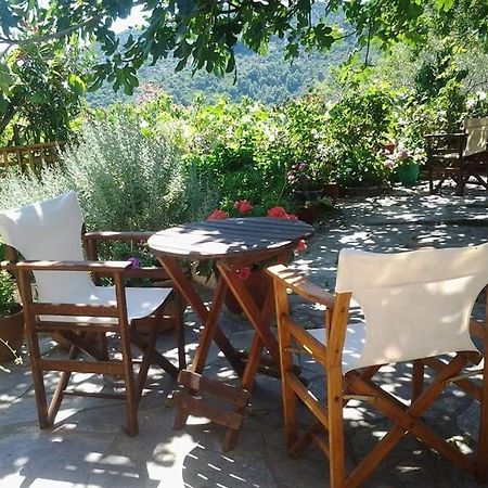Villa Panayiota Alónnisos エクステリア 写真