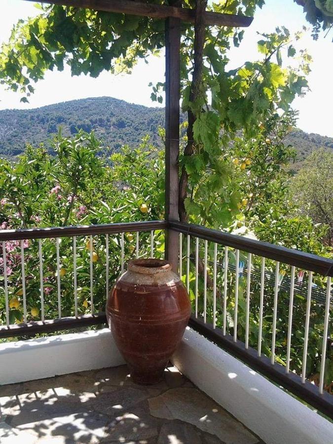 Villa Panayiota Alónnisos エクステリア 写真