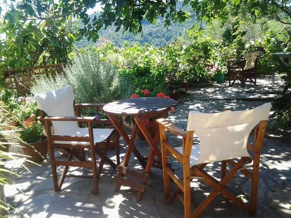 Villa Panayiota Alónnisos エクステリア 写真