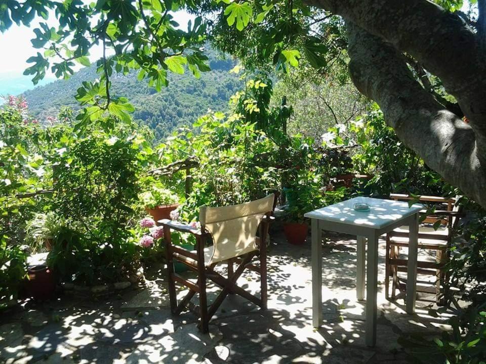 Villa Panayiota Alónnisos エクステリア 写真