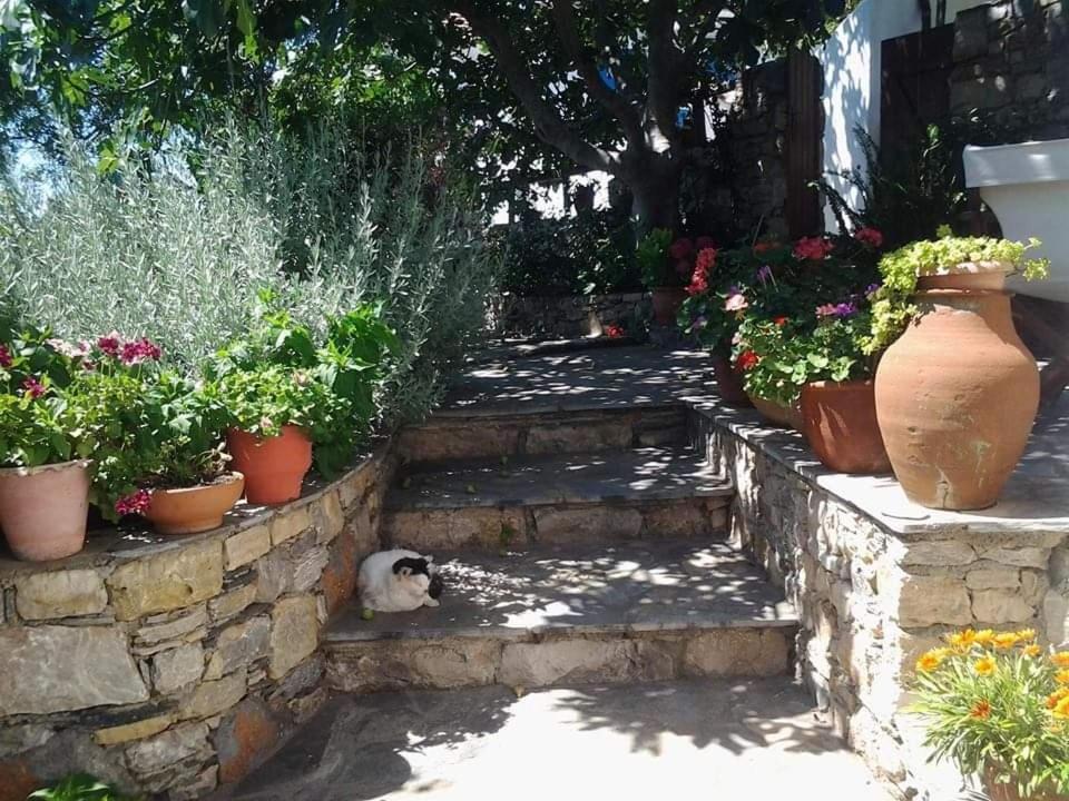 Villa Panayiota Alónnisos エクステリア 写真