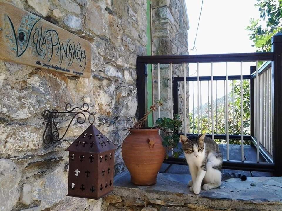 Villa Panayiota Alónnisos エクステリア 写真