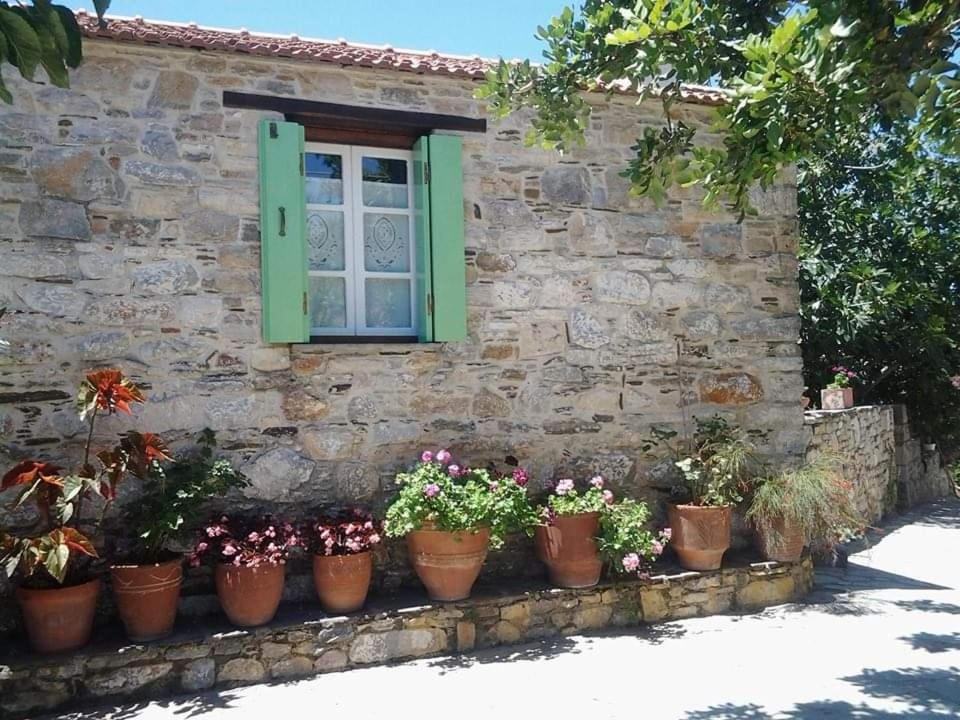 Villa Panayiota Alónnisos エクステリア 写真