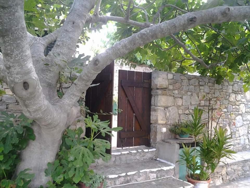 Villa Panayiota Alónnisos エクステリア 写真