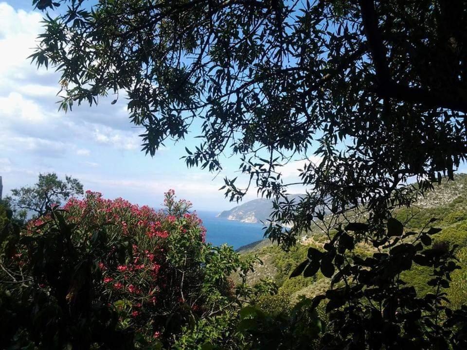 Villa Panayiota Alónnisos エクステリア 写真
